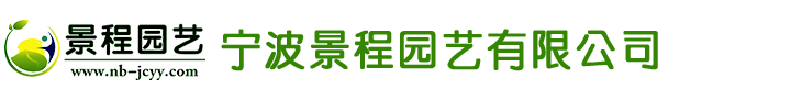鼎泰恒勝